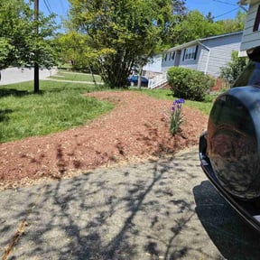 Bush Trimming by Landscaping by Jay reviewed on August 16, 2025