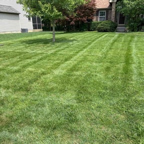 gardening service by Schuetz Landscaping Services reviewed on December 4, 2025