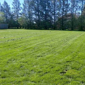 yard care by Clear Cuts lawn service reviewed on August 18, 2025