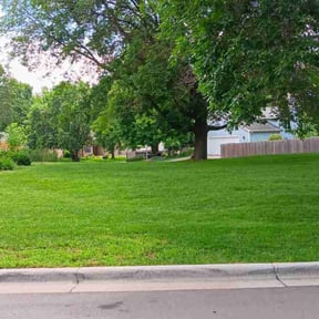 landscaping services by Big 3 Lawns and Landscaping reviewed on August 17, 2025