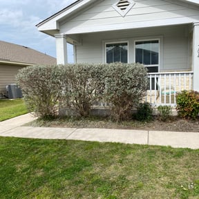 Bush Trimming by Lawn pros reviewed on August 16, 2025