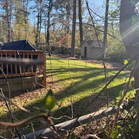 turf maintenance by Lawn Care Raleigh reviewed on August 19, 2025