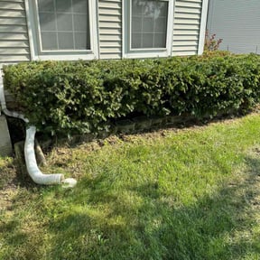Bush Trimming by Integrity Curb Appeal reviewed on August 19, 2025