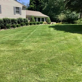 yard maintenance by Pro Green Landscape L L C reviewed on August 15, 2025