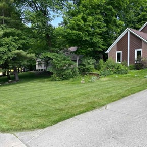 yard work by Azuloutdoorservices@gmail.com reviewed on August 24, 2024