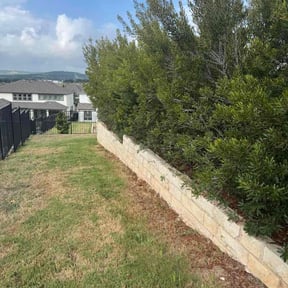 Bush Trimming by Rcuts Lawncare reviewed on October 24, 2025