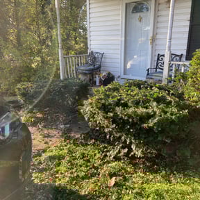 Bush Trimming by M Taghavi landscaping & services reviewed on August 18, 2025