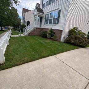 yard service by Treehous, LLC reviewed on August 18, 2025