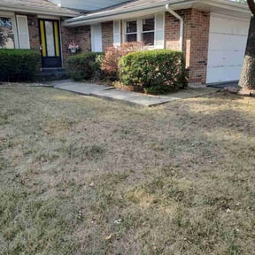 Bush Trimming by Tikitiki Garden Service reviewed on June 30, 2025