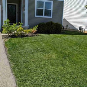 yard care by Blacklick Lawn Care LLC reviewed on June 4, 2025