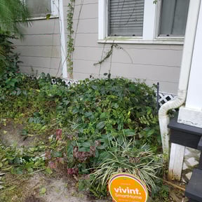 Bush Trimming by A. Gonzalez Landscaping reviewed on November 9, 2017