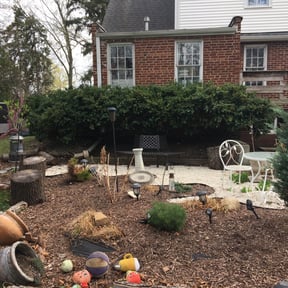 Bush Trimming by Gowdy's Lawn Service reviewed on November 20, 2025