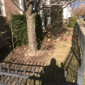 Leaf Removal by Amie&#039;s Clean Cut Lawns and More reviewed on September 25, 2025