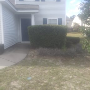 Bush Trimming by Creative Edge lawn & Landscape reviewed on August 15, 2025