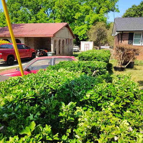 Bush Trimming by Nicole Volkhardt reviewed on April 28, 2026