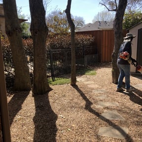 Leaf Removal by Ochoa Landscape and Irrigaton LLC reviewed on September 12, 2025
