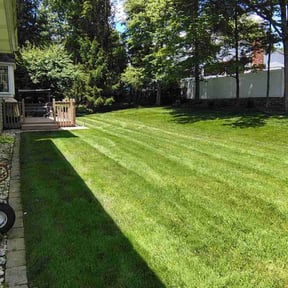 yard maintenance by The Green Earth Lawn Care reviewed on August 15, 2025