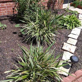 Flower Bed Weeding by Loera's Landscaping and Junk Removal Services reviewed on May 4, 2026