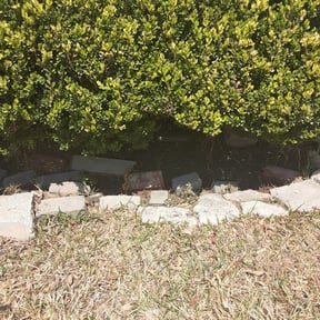 Leaf Removal by Pleasant View Lawn Care reviewed on September 12, 2025