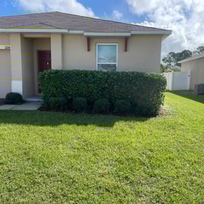 Bush Trimming by Andy's landscape reviewed on November 23, 2025