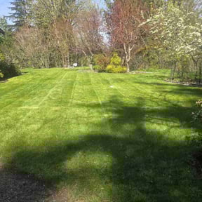 turf care by K's Lawn Care reviewed on May 26, 2025