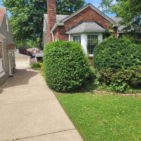 Bush Trimming by Re Image lawn care reviewed on June 3, 2026