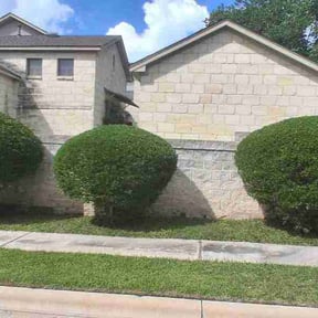 Bush Trimming by JXE Lawn Service LLC reviewed on June 17, 2026