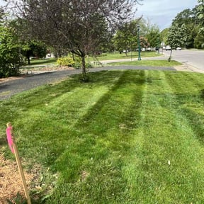 landscaping by Carter Landscape Services reviewed on August 20, 2025