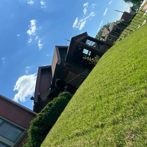 lawn maintenance by Cloverleaf Lawncare reviewed on May 6, 2025