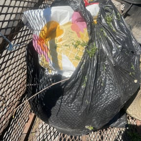 Leaf Removal by True green property maintenance reviewed on September 16, 2026