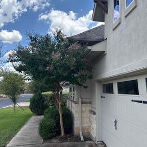 Bush Trimming by A Much Better Cut  reviewed on October 18, 2025