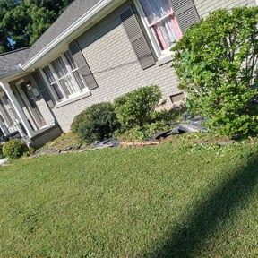 Bush Trimming by Lawn Pro grounds management reviewed on August 20, 2025