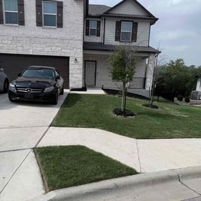 yard maintenance by All In 1lawn and Tree Service reviewed on August 17, 2025