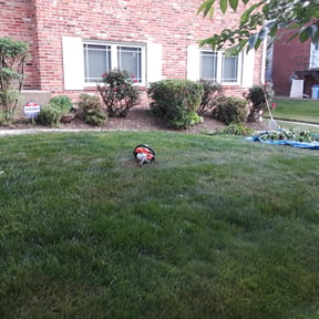 Bush Trimming by Sunnyside Lawn care reviewed on August 15, 2025