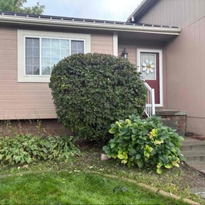 Bush Trimming by We Care Lawn Care Co. reviewed on October 23, 2025