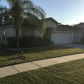 Bush Trimming by ALL COMPLETE ENTERPRISE reviewed on August 21, 2024