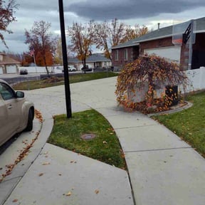 Leaf Removal by Waytomow reviewed on November 18, 2025