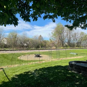 yard maintenance by Iowa Lawn and Plow, LLC reviewed on August 16, 2025