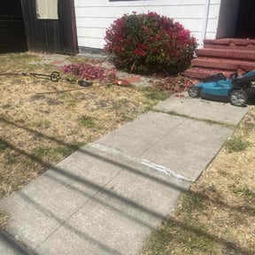 Bush Trimming by BnB So. Cal reviewed on November 22, 2025