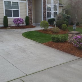 Bush Trimming by Honest Living Cuts &amp;More reviewed on October 24, 2023