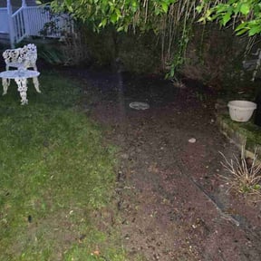 Flower Bed Weeding by Global Leaf Solutions reviewed on May 3, 2026