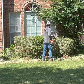 Bush Trimming by Poetry In Motion, LLC reviewed on November 20, 2025