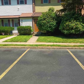 turf maintenance by Domínguez Services reviewed on June 17, 2025