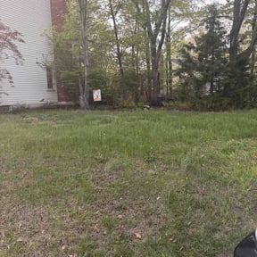 Leaf Removal by Clean Money Construction reviewed on June 18, 2026