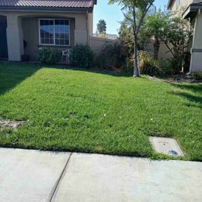 lawn care services by Fierro's Landscaping maintenance and development reviewed on May 10, 2025