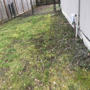 Leaf Removal by Familia landscaping reviewed on August 16, 2025