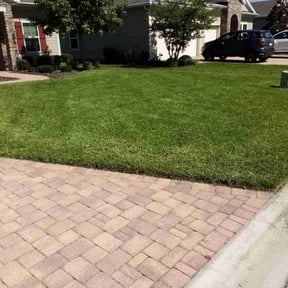 gardening service by YARD M.D. LLC reviewed on November 24, 2025