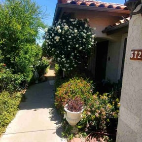 Bush Trimming by Green Love reviewed on November 28, 2025