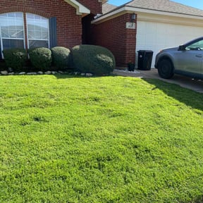 yard service by Lawncare love reviewed on August 19, 2025