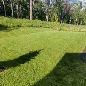 lawn care by Dave's handyman services reviewed on June 3, 2022